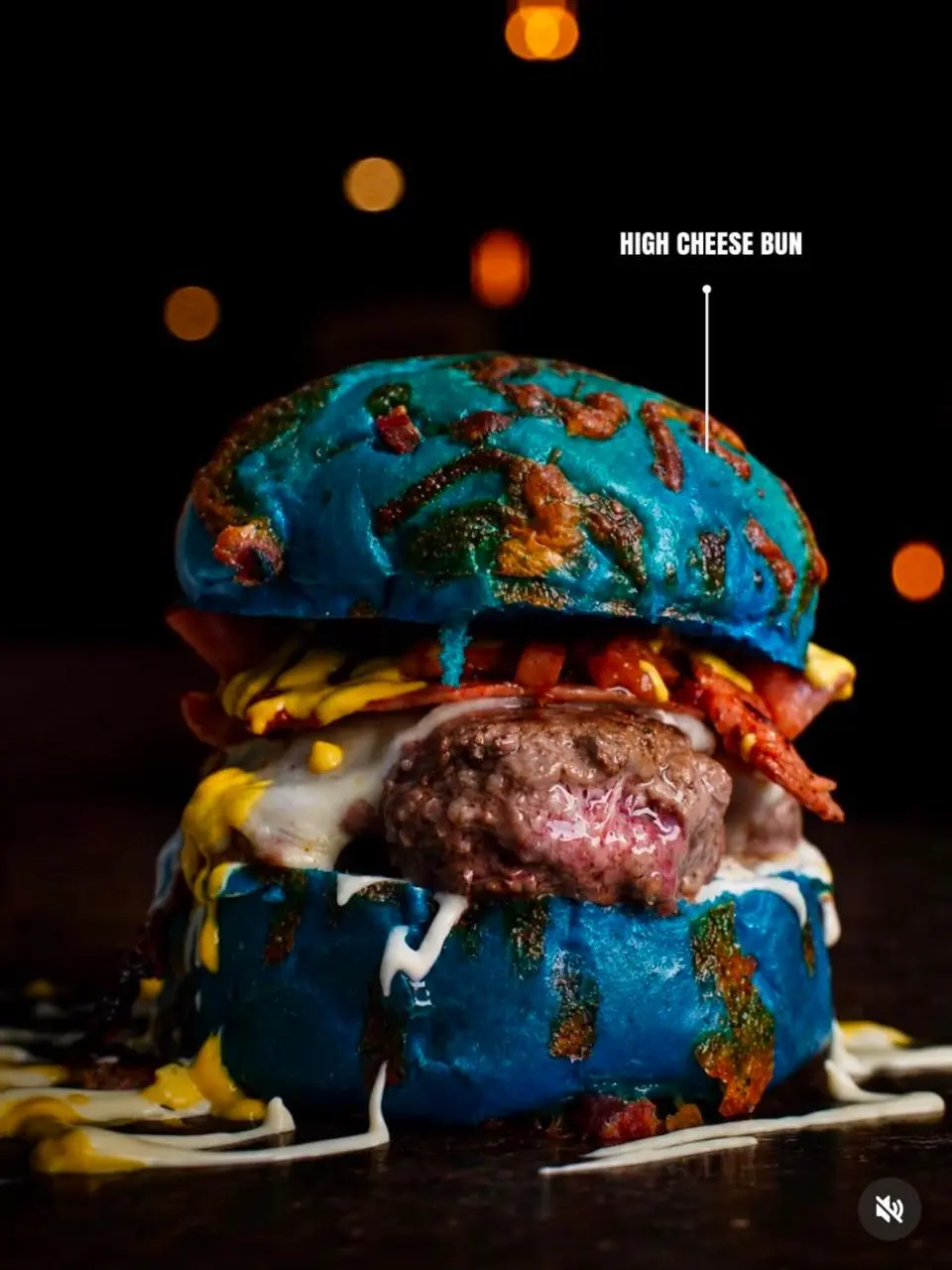 Panes de hamburguesas Barna Buns